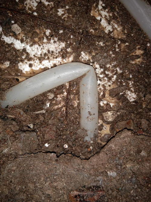 宁阳堵点精准查找